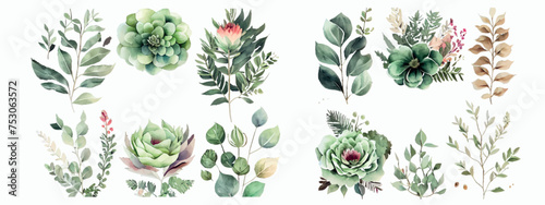 Elegant Collection of Watercolor Greenery and Succulents, Detailed Botanical Illustrations for Invitations, Decor, Art