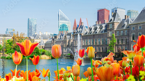 view of Binnenhof - Dutch Parliament with fountain and flowers, The Hague, Holland