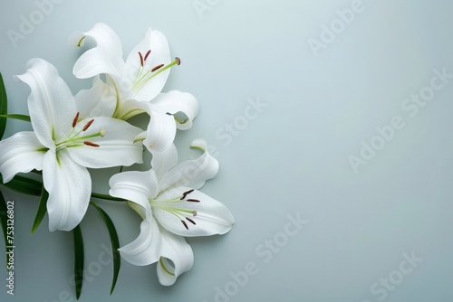 A branch of white lilies flowers against a blue background with green leaves, suitable for a mourning or funeral background, and condolence card design.