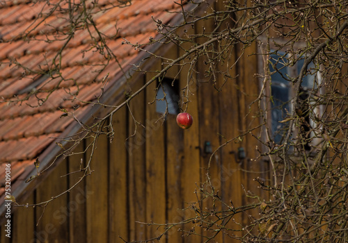 chata z jabłkiem