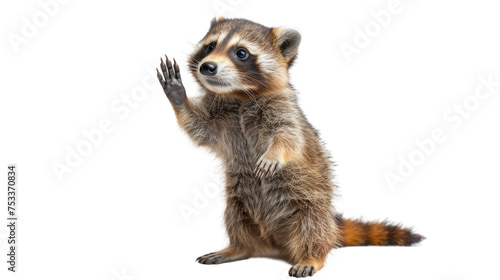 Captivating image of a friendly raccoon standing upright on two legs, with hands up as if waving, isolated on a white background