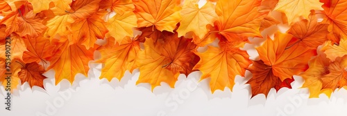 Fall in Love with Autumn: A Vibrant Maple Leaf Garden on an Orange Background