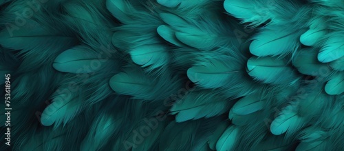Soft luxurious feather texture in turquoise and emerald green color