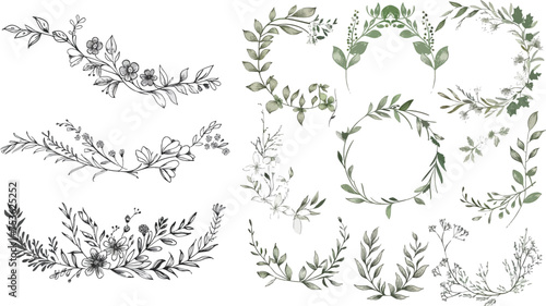 Hand drawn delicate floral borders, frames, dividers