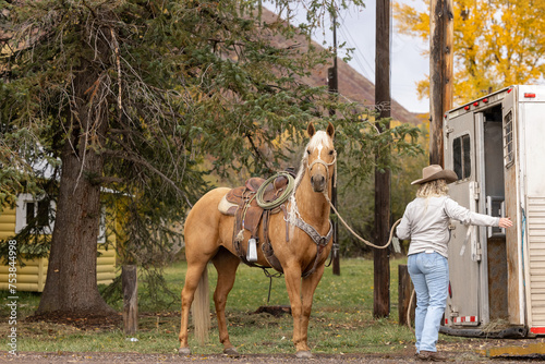 Cowgirl Unloading or Loading Palomino Quarter horse from a Aluminum horse trailer