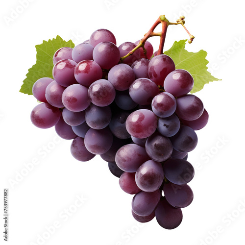 Zinfandel grape isolated on transparent background