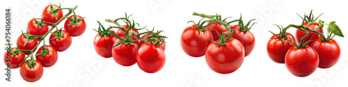 Fresh delicious tomatoes on branch Hyperrealistic Highly Detailed Isolated On Transparent Background Png File