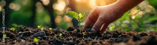 A hand is planting a seedling in the dirt. Concept of growth and nurturing, as the person is taking care of the plant and helping it to grow