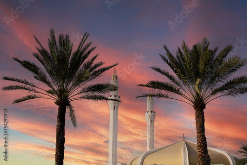 palm tree and the minaret of Hasan En Any Mosque behind it. Islamic architecture. Saudi Arabia