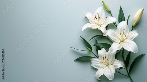 branch of white lilies flowers mourning or funeral background condolence card with copy space for text 