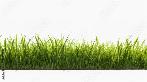 Cut Out Green Grass Field Transparent Background