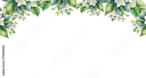 watercolor jasmine flower isolated on white background. border corner. jamine leaves PNG