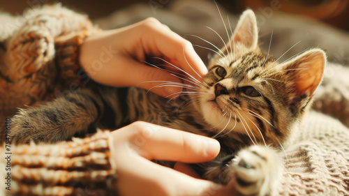 Young woman hand playing with a cute cat