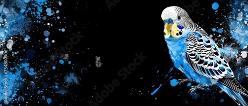  a blue and white parakeet sitting on a branch in front of a black background with drops of water.
