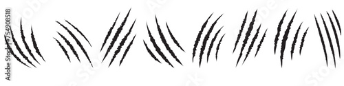 animal Claw scratches mark set. Cat tiger scratches signs vector