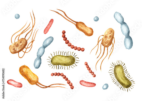 Beneficial prebiotic bacteria set. Watercolor hand drawn illustration, isolated on white background