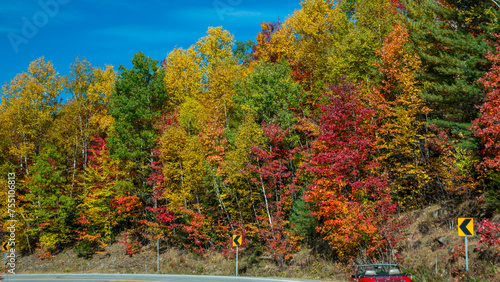 Autumn foliage in fall season. Red autumn landscapes in fall, trees and mountains of New England