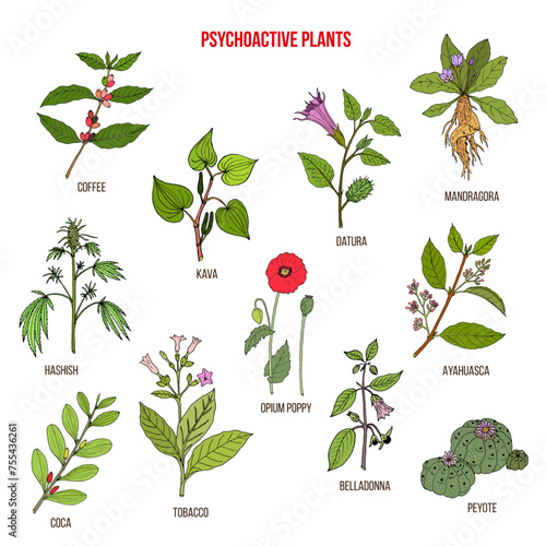 Psychoactive plants collection. Hand drawn vector set