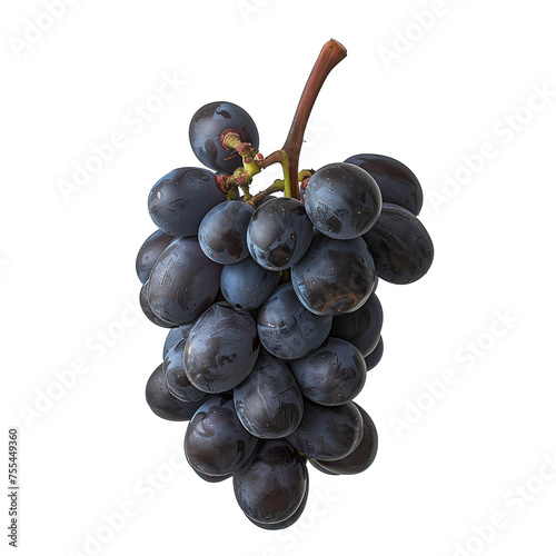 Zinfandel grapes fruit isolated on white background
