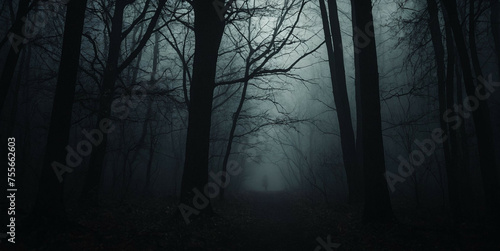 Misty Forest at Twilight With Eerie Atmosphere and Bare Trees