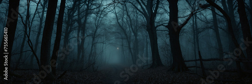 Dense Forest at Night