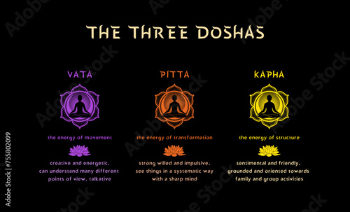 Ayurvedic Dosha Types Infographic poster