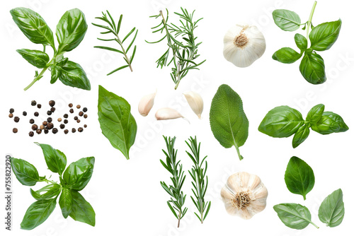 Top view of Herbs and spices isolated on background, ingredients for cooking food, healthy vegetables food, high fibers and vitamins.