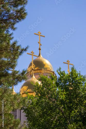 Close-up view of golden cupolas of Russian Orthodox Church of All Saints over green trees in a sunny summer day in Volgograd city, Russia. Russian culture and religion theme.