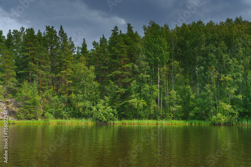 Republic of Karelia, Russia, Panoramic view of the wooded coast of Lake Ladoga, cloudy sky, daytime, virgin nature, taiga