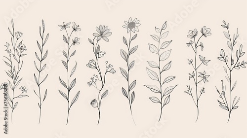 Collection of botanical hand drawn elements in line art. Foliage, branches, floral, leaves, wildflowers in line art. Minimal style blossom illustration design for logos, weddings, invitations, decor.