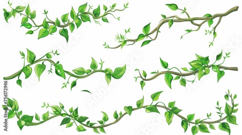 Set of liana branch frames with green leaves isolated on white background. Modern cartoon illustration for UI design, exotic tropical garden border.