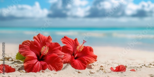 Red hibiscus flowers on sandy beach with crystal-clear turquoise sea in backdrop, encapsulates the quintessence of tropical escape. Banner for travel and tourism marketing, spa and resort advertising