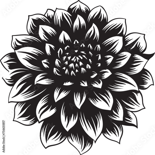 Dahlia Flower Silhouette Vector Illustration White Background