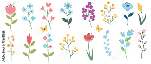 Set of beautiful spring and summer flowers, leaves, plants for creating floral bouquets. Hand drawn vector illustration.