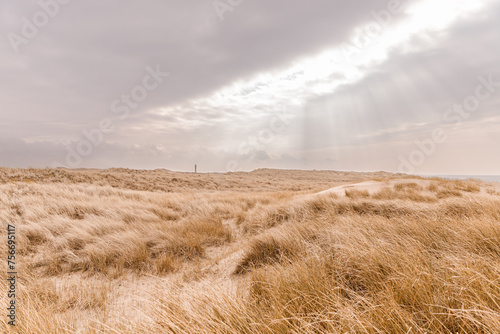 lighthouse in the dunes on the beach