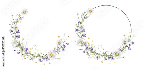 Wreath of yellow and white flower meadow, forest flowers. Watercolor hand painting illustration on isolate. Circlet of flowers with daisy or chamomile and violet bluebell. Botanical summer wildflower.