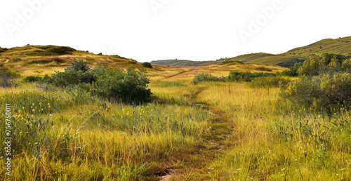Serene golden hills with a narrow path and wildflowers, cut out - stock png.