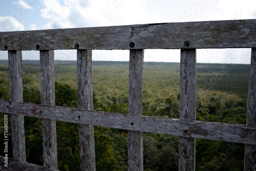 Wood-based construction (vegetation viewpoint in Noh Bec, Mexico)