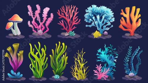 Various underwater ocean plants and reefs cartoon illustration set. Marine or aquarium bottom tropical bright creatures. exotic undersea flora elements.