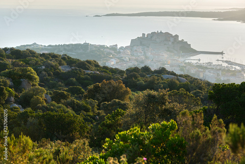 Calvi, Korsika, Frankreich