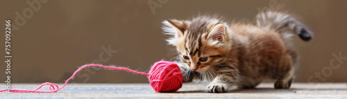 A playful kitten chasing a ball of yarn