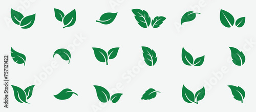 Set green leaves icon vector isolated on white background. Various shapes of green leaves of trees and plants