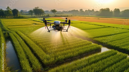 drone spraying pesticide on rice field, drone spraying pesticide on rice field
