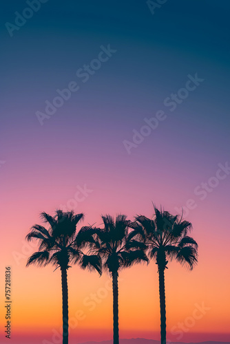 Tropical Sunset Silhouettes: Palm Trees Against Colorful Sky