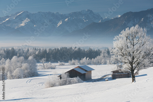 Raureif, nahe Murnau am Staffelsee, Bayern, Deutschland