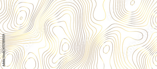 Topographic map background geographic line map pattern .panorama view golden color wave curve lines .geographic mountain relief abstract grid .the concept map of a conditional geography map .