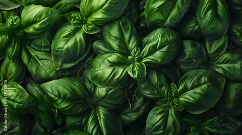 A Fresh and Vibrant Display of Spinach Leaves Generative AI