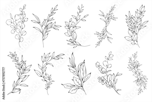 Floral vector set of greenery arrangements and bouquets, hand drawn wedding branches, herbs, minimalist botanical line art illustration, elegant compositions for invitation and save the date card
