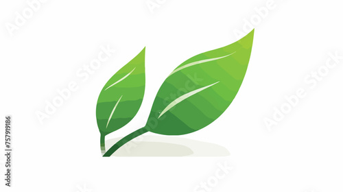 Leaf green icon design. flat green leaves 