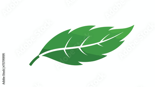 Leaf green icon design. flat green leaves 